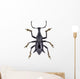 Black Horned Weevil from