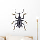 Black Horned Weevil from