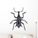 Black Horned Weevil from