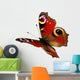 European Peacock butterfly (Inachis io) in flight Wall Decal