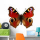 European Peacock Butterfly Inachis