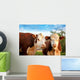 Two Curious Cows