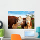 Two Curious Cows