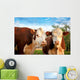 Two Curious Cows