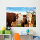 Two Curious Cows