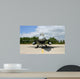 Fighter Jet F16 Wall Mural