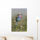 Rollier Lilac Chest Coracias Wall Mural