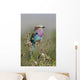 Rollier Lilac Chest Coracias Wall Mural