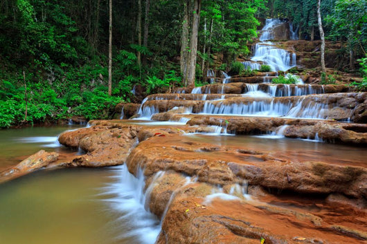 Waterfall Tropical Forest
