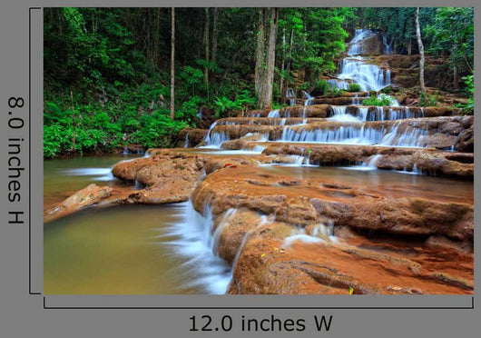 Waterfall Tropical Forest