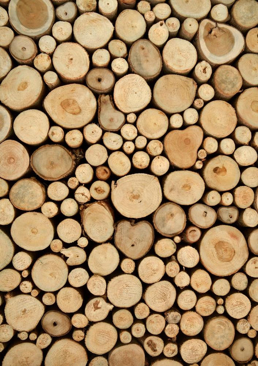 Tree Stumps