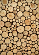 Tree Stumps