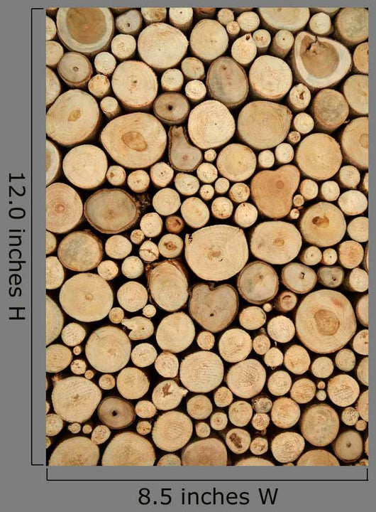 Tree Stumps
