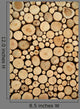 Tree Stumps