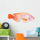 Red Tilapia Isolated on White Background Wall Decal