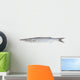 Fresh Barracuda Fish on White Background Wall Decal