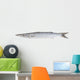 Fresh Barracuda Fish on White Background Wall Decal