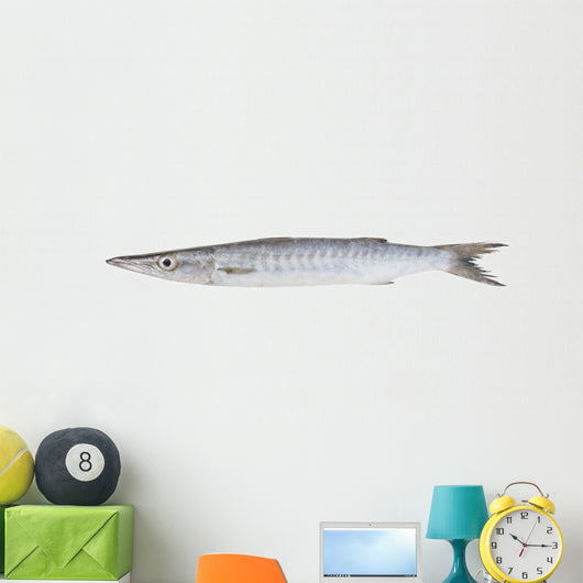 Fresh Barracuda Fish on White Background Wall Decal