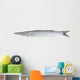 Fresh Barracuda Fish on White Background Wall Decal