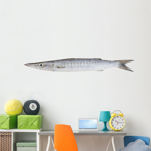 Fresh Barracuda Fish on White Background Wall Decal
