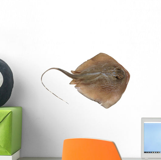 Fresh Ray Fish White Wall Decal