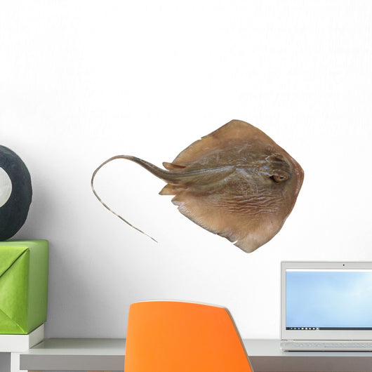 Fresh Ray Fish White Wall Decal
