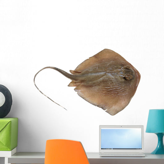 Fresh Ray Fish White Wall Decal