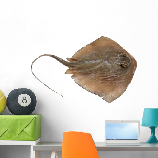 Fresh Ray Fish White Wall Decal