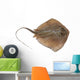 Fresh Ray Fish White Wall Decal