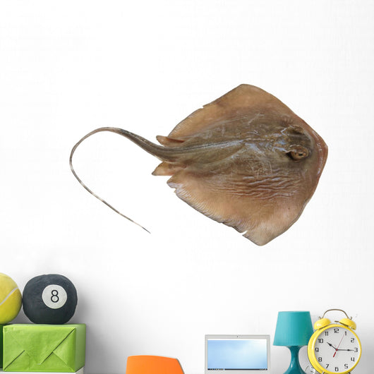 Fresh Ray Fish White Wall Decal