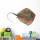 Fresh Ray Fish White Wall Decal
