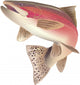 trout Wall Decal