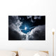 Passenger Airliner in the sky Wall Mural
