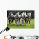 Percheron Wall Mural