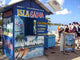 Hafen Bayahibe Wall Decal