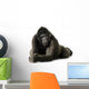 Young Silverback Gorilla Wall Decal