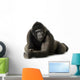 Young Silverback Gorilla Wall Decal