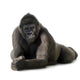 Young Silverback Gorilla Wall Decal