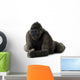 Young Silverback Gorilla Wall Decal