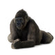 Young Silverback Gorilla Wall Decal