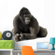 Young Silverback Gorilla Wall Decal