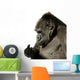 Young Silverback Gorilla Wall Decal