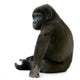 Young Silverback Gorilla Wall Decal