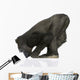 Young Silverback Gorilla Wall Decal