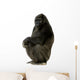 Young Silverback Gorilla Wall Decal