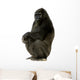 Young Silverback Gorilla Wall Decal