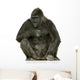 Young Silverback Gorilla Wall Decal