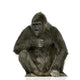 Young Silverback Gorilla Wall Decal