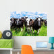 Cattle Wall Mural