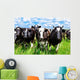 Cattle Wall Mural